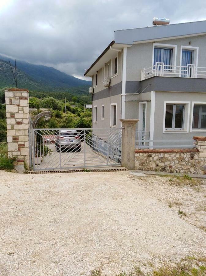 Vila Elida Tragjas Luaran gambar