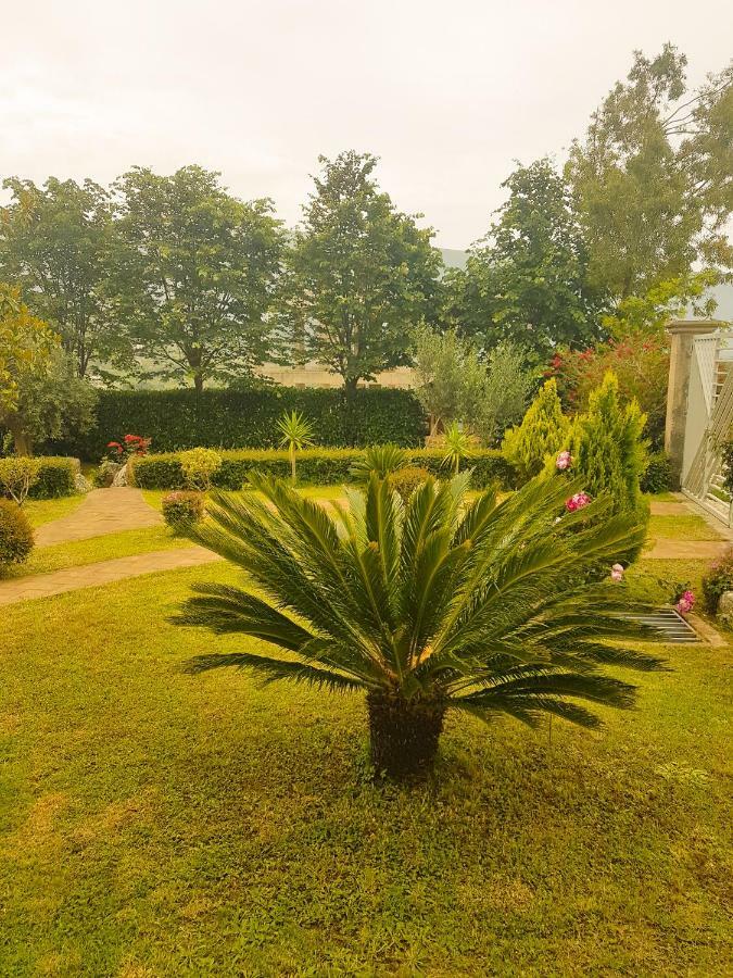 Vila Elida Tragjas Luaran gambar