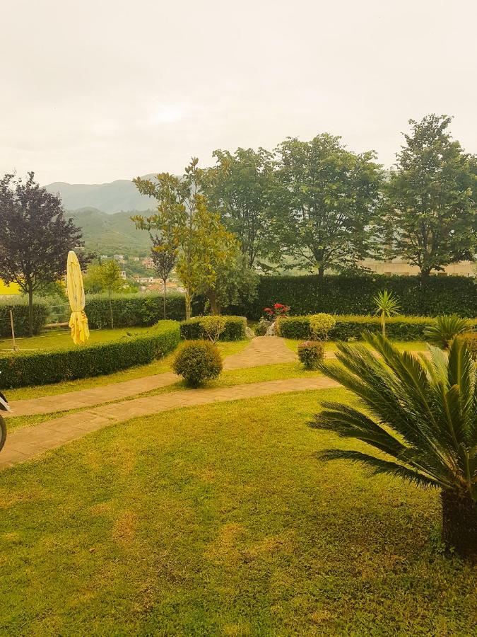Vila Elida Tragjas Luaran gambar